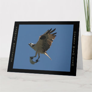 Cartão Osprey Bird & Fish Birthday Greeting Card