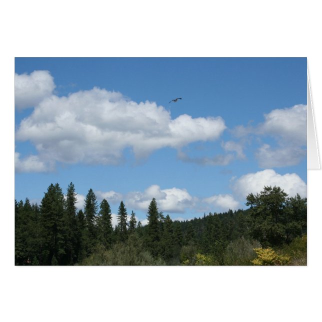 Cartão Osprey em alta velocidade (Frente Horizontal)