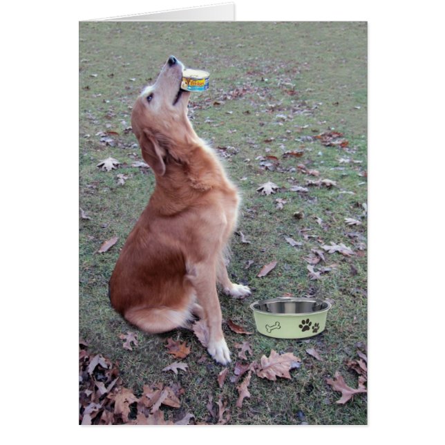 Cartão Osso Appetit (Frente)