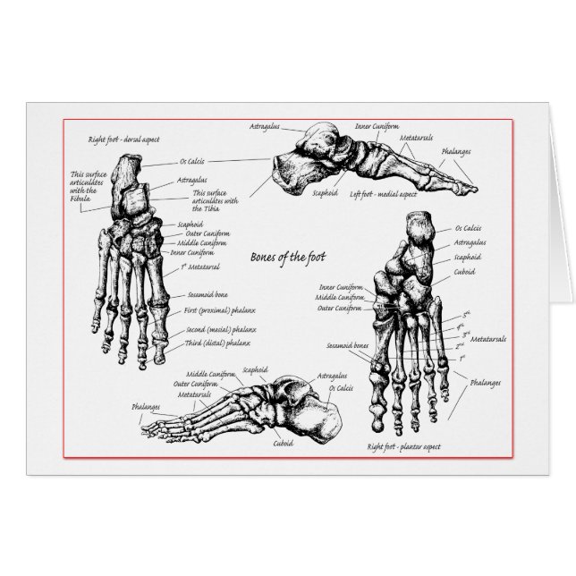 Cartão Ossos de pé (Frente Horizontal)