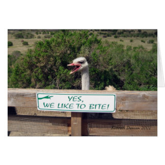 Cartão Ostrich
