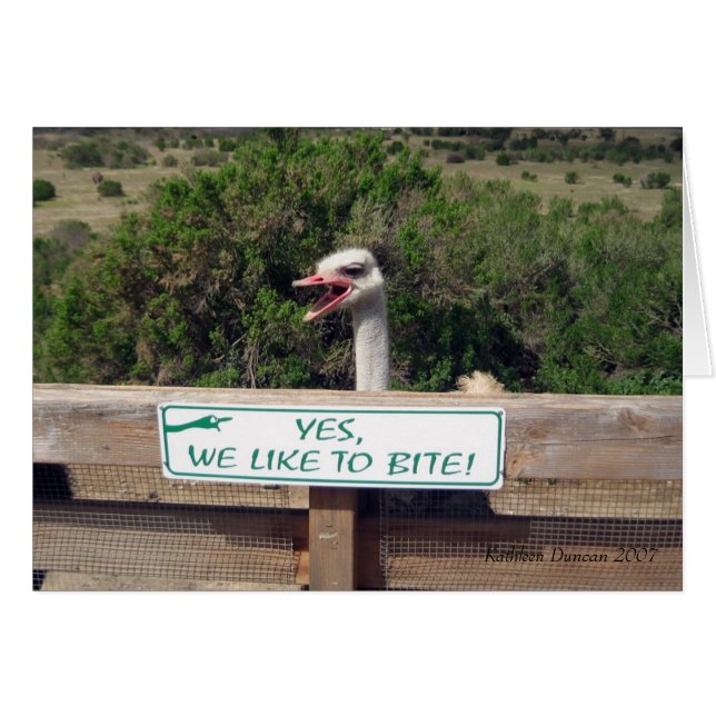 Cartão Ostrich (Frente Horizontal)