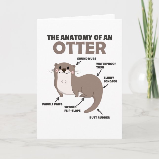 Cartão Ótima Explicação Da Outra Anatomia De Uma Outra (Frente)