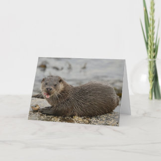 Cartão Otter