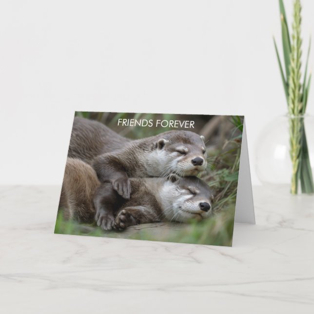 Cartão Otter Friends Forever Friendship (Frente)