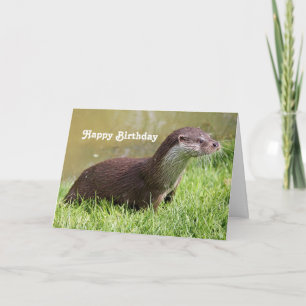 Cartão Otter Grass Wildlife Photo Birthday