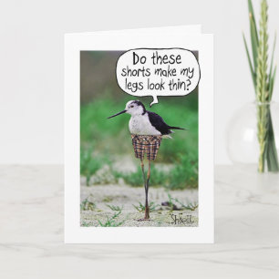 Cartão ou presente de AVES FUNNADO