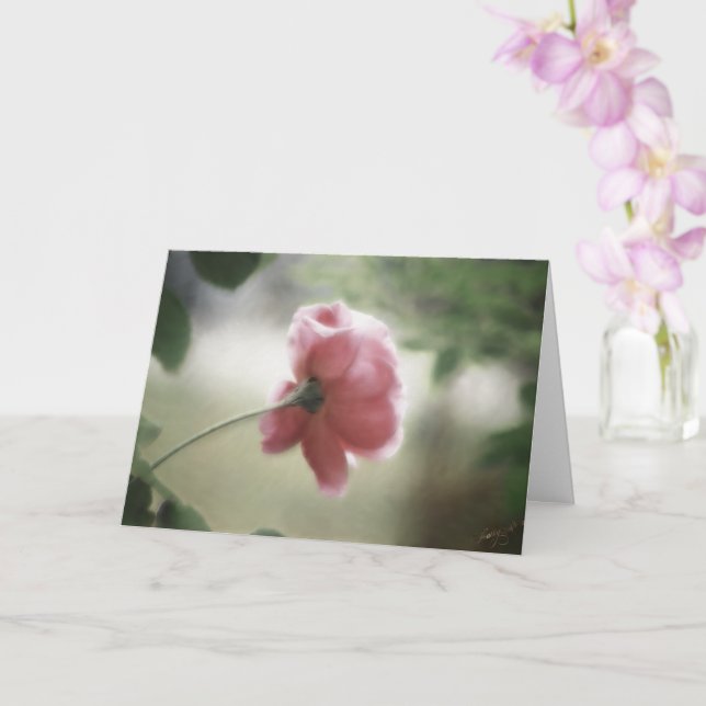 Cartão ou Saudação para Todas as Ocasiões (Orquídea)