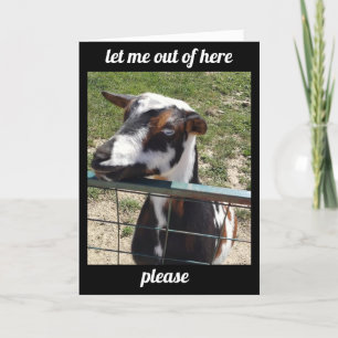 CARTÃO OUÇA QUE VOCÊ ESTÁ SOB O TEMPO, PEGUE BEM CART