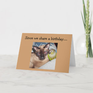 CARTÃO "OUR BIRTHDAY" IS HERE! HOPE IT'S PURR-FECT