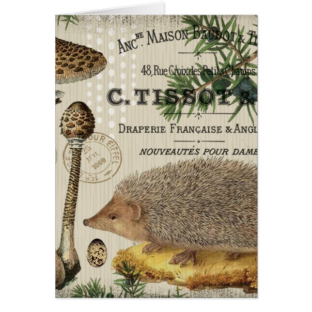 Cartão ouriço moderno da floresta do vintage (Frente)