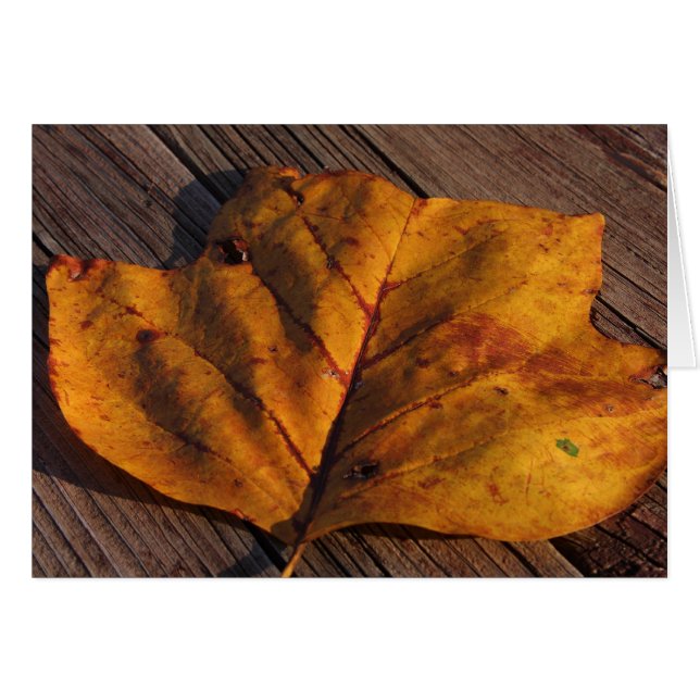 Cartão Ouro (Frente Horizontal)