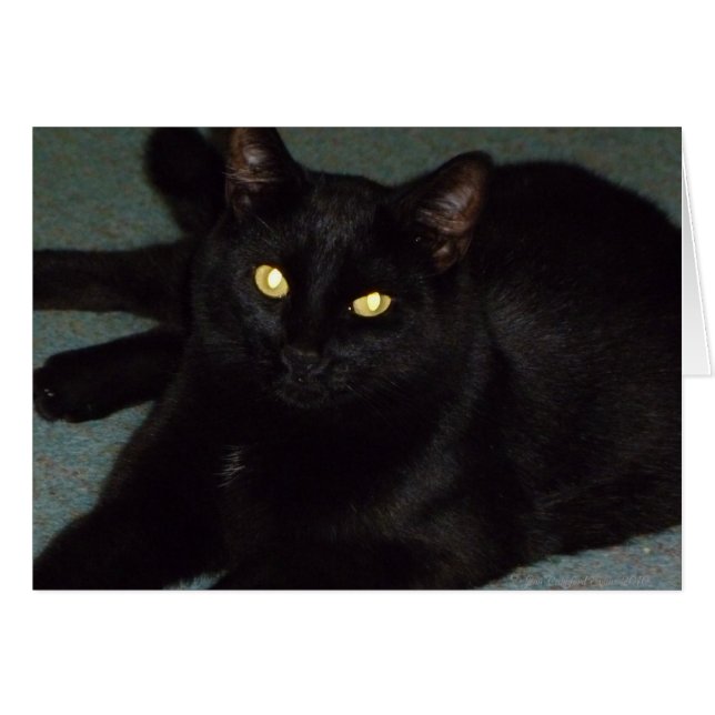 Cartão Ouro (Frente Horizontal)