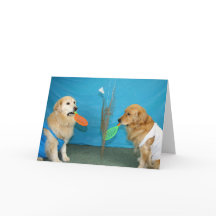 Ouro Badminton Aniversário