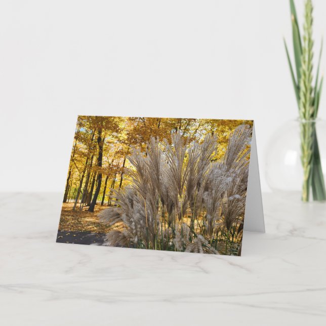Cartão Ouro de queda de boas-vindas Twilight Miscanthus (Frente)