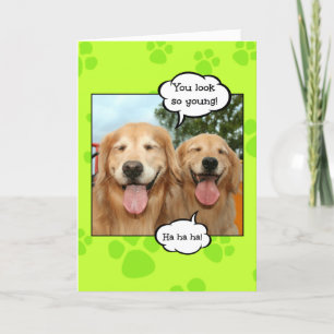 Cartão Ouro de Retriever Engraçado Oldie Birday