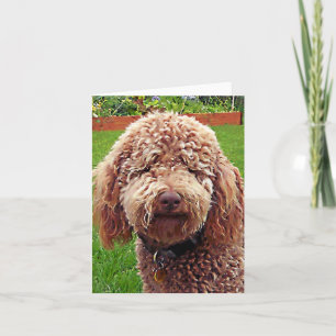 Cartão Ouro Doodle Stella