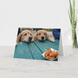 Cartão Ouro Engraçado Cães de Retriever Desejos de Aniver