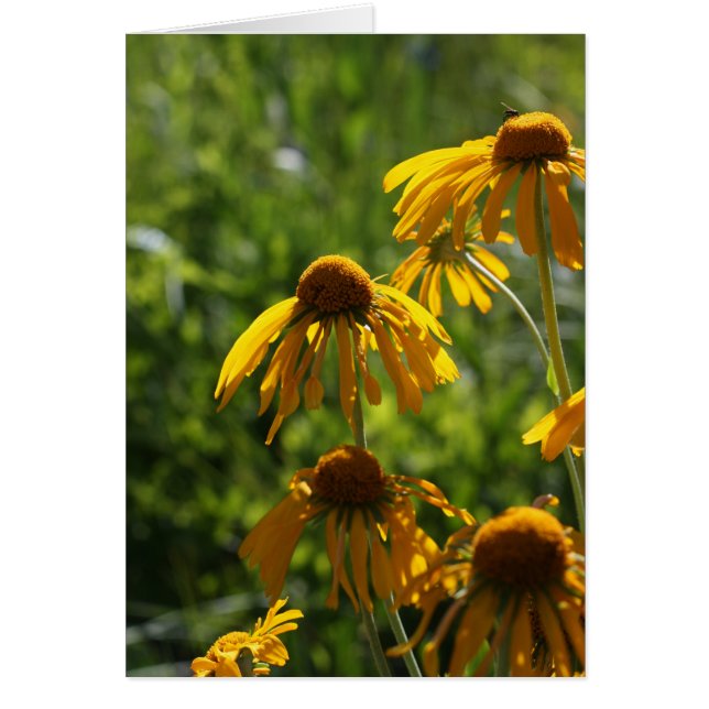 Cartão Ouro Flores selvagens (Frente)