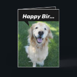 Cartão Ouro Funny Retriever Distraído Por Esquilo<br><div class="desc">Este Riley, um Ouro inglês Retriever. Tem a atenção do cheio dela... bem, desde que não haja esquilos para distraí-la, então todas as apostas vão. Cartão engraçado com duas fotos deste lindo Ouro (uma sorrindo para você, a outra olhando para o esquilo que aparentemente passou. Há uma pequena nota de...</div>
