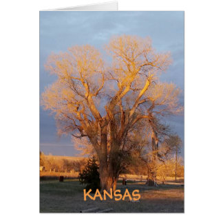 Cartão Ouro Kansas State Tree - Algodão