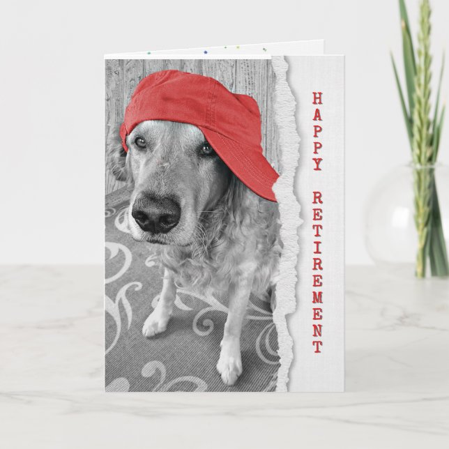 Cartão Ouro Retriever (Frente)