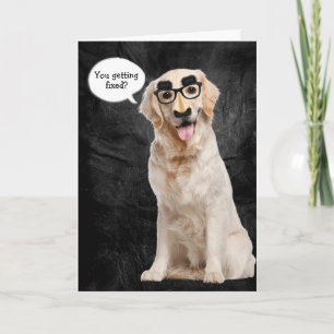 Cartão Ouro Retriever com máscara engraçada para vasect