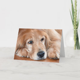 Cartão Ouro Retriever Consiga Bem
