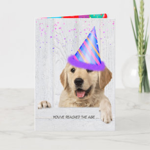 Cartão Ouro Retriever Dog com chapéu de festa de anivers