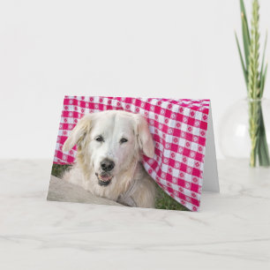 Cartão Ouro Retriever em tablecloe para aniversário