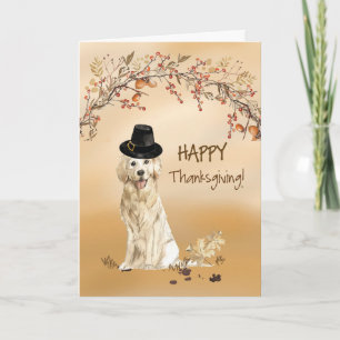 Cartão Ouro Retriever Engraçado Pilgrim Que Ação de Graça