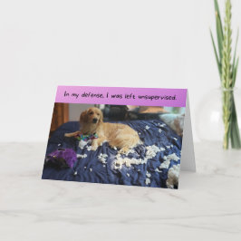 Cartão Ouro Retriever faz um aniversário menos engraçado