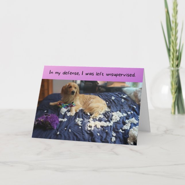 Cartão Ouro Retriever faz um aniversário menos engraçado (Frente)