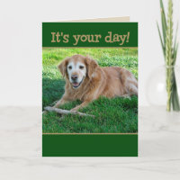 Ouro Retriever Fetordies Para O Dia de os pais