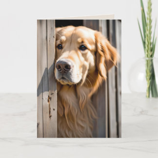 Cartão Ouro Retriever Na Porta Do Barn Para Aniversário