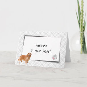 Cartão Ouro Retriever Na Xadrez Pet Perda Simpatia