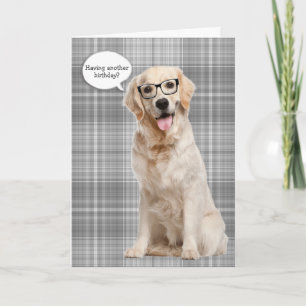 Cartão Ouro Retriever no humor de aniversário de xadrez