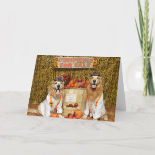 Cartão Ouro Retriever Pumpkin Stand Halloween