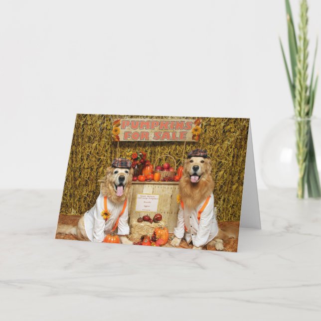 Cartão Ouro Retriever Pumpkin Stand Halloween (Frente)