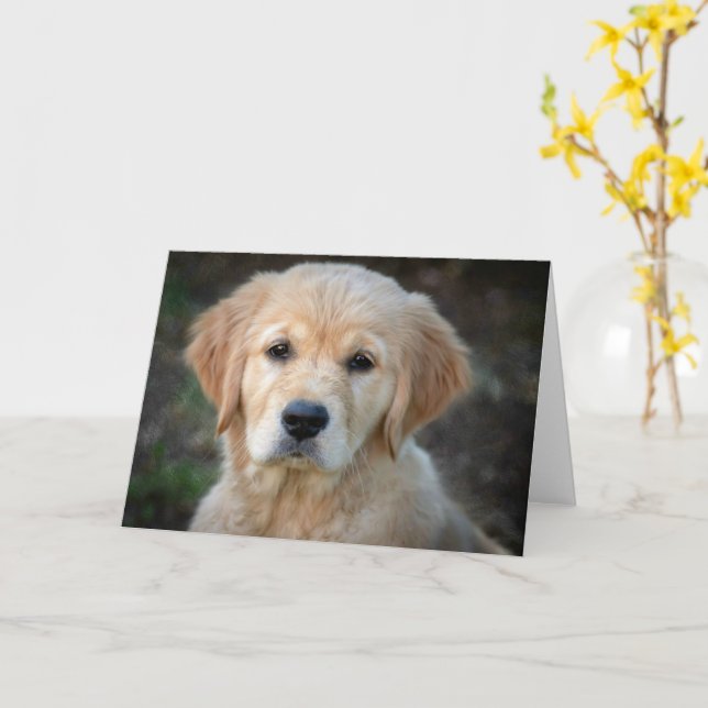 Cartão Ouro Retriever Puppy (Flor Amarela)