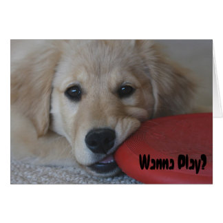 Cartão Ouro Retriever Quer Jogar...