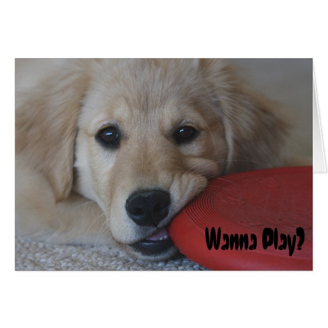 Cartão Ouro Retriever Quer Jogar... (Frente Horizontal)
