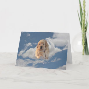 Cartão Ouro Retriever Tem Uma Placa De Aniversário Pesada
