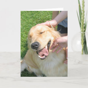 Cartão Ouro Retriever Você Fez Isso Felicita O Incentivo