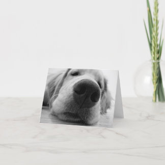 Cartão Ouro sonolento