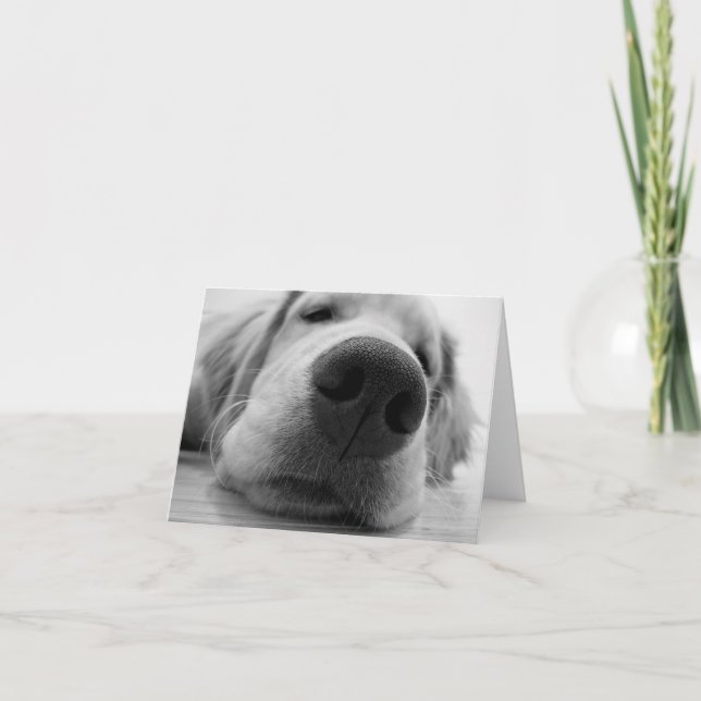 Cartão Ouro sonolento (Frente)