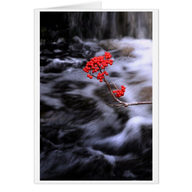 Cartão Outono (Frente)