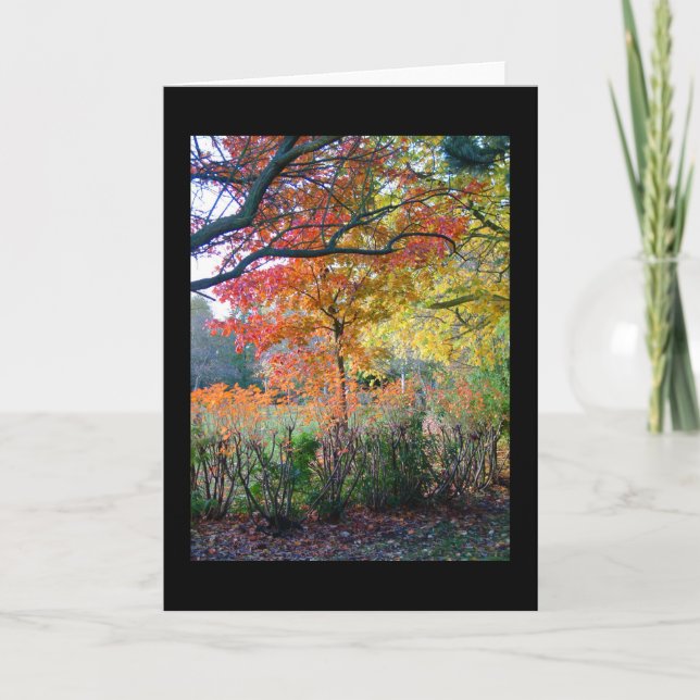 Cartão Outono (Frente)