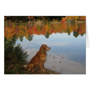 Cartão Outono do golden retriever no lago
