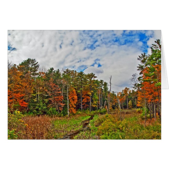 Cartão outono do Nordeste (Frente Horizontal)